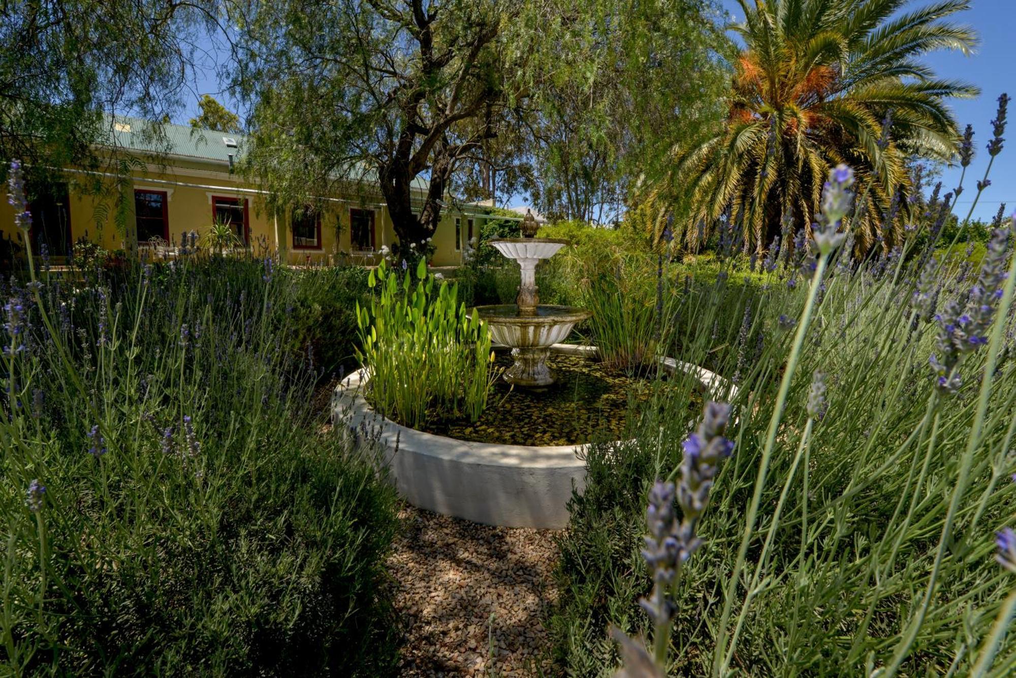 Darling Lodge Guest House Luaran gambar